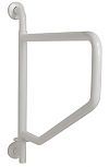 Swing Away Grab Bars